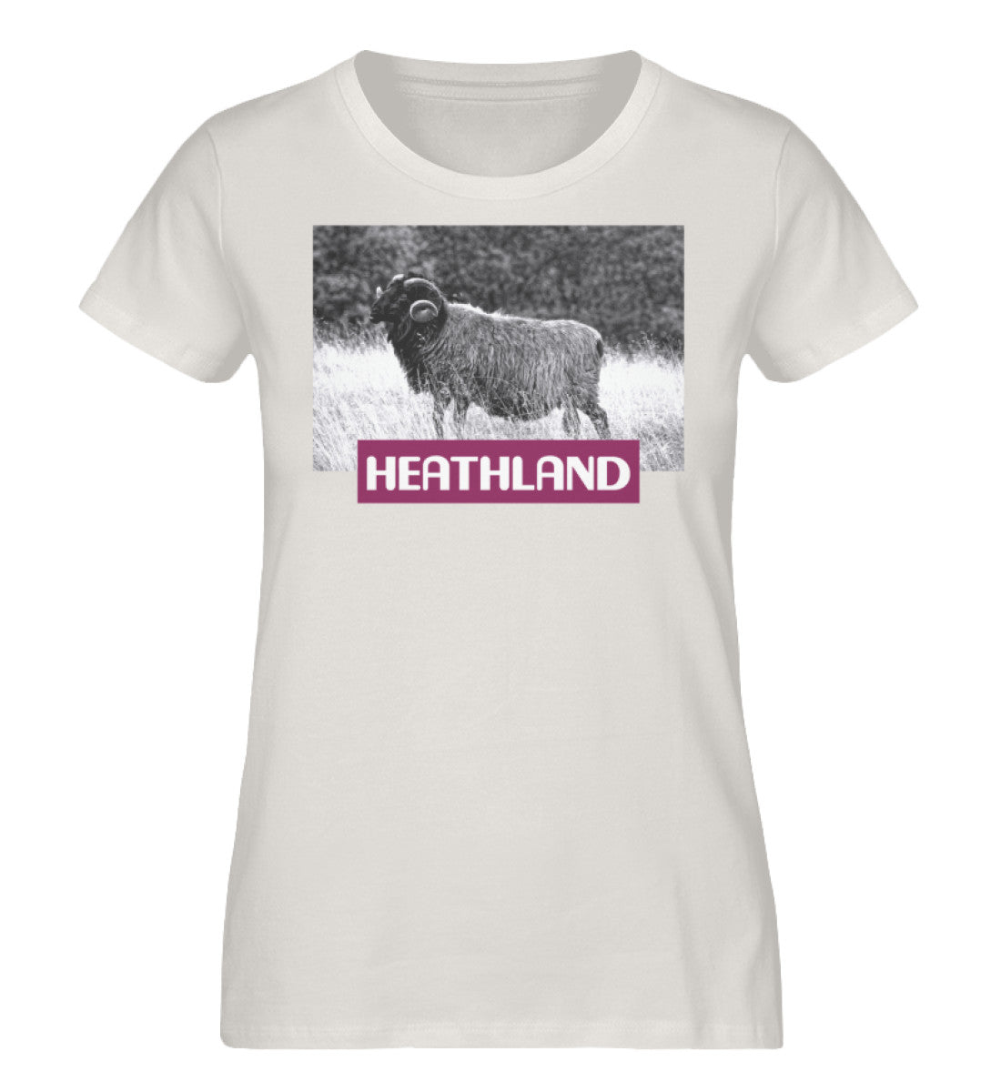 Vintage White-6865
